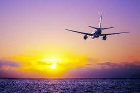 Complete List Of Expedi𝖆® Official Customer™ SERVICE® U.S. Based Contact Numbers : A Step~by~step~Guide - PFB Articles - The Chamber